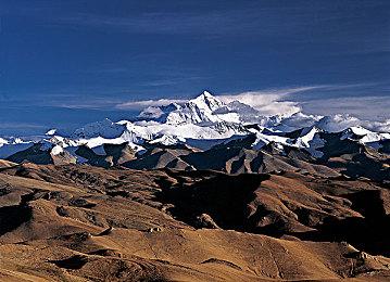 《阿凡达：潘多拉边境》战斗解释 纳美人为何要用弓箭？